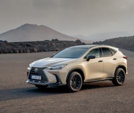 Lexus NX Overtrail